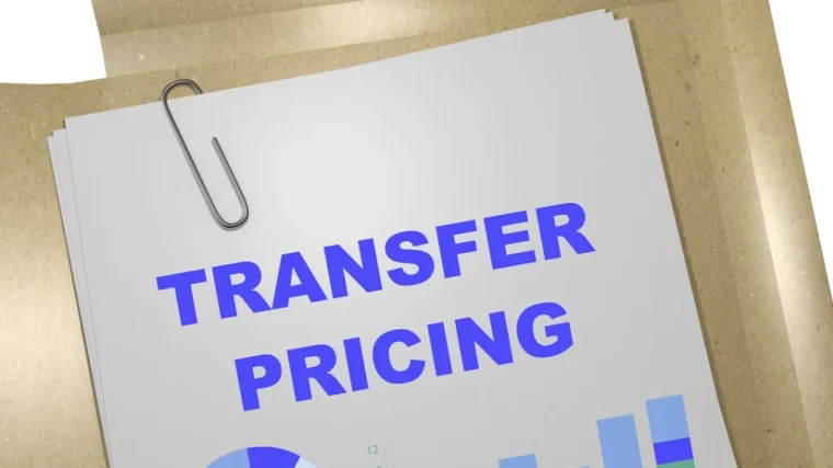 transfer pricing services.